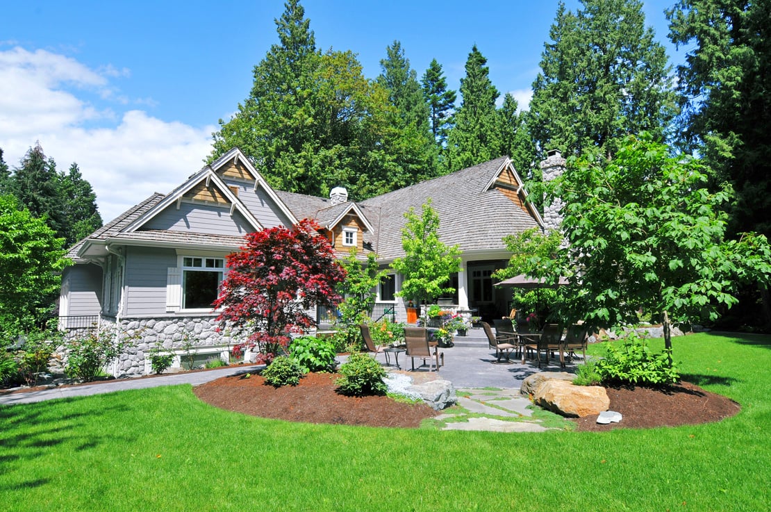 Beautiful Landscaped Yard